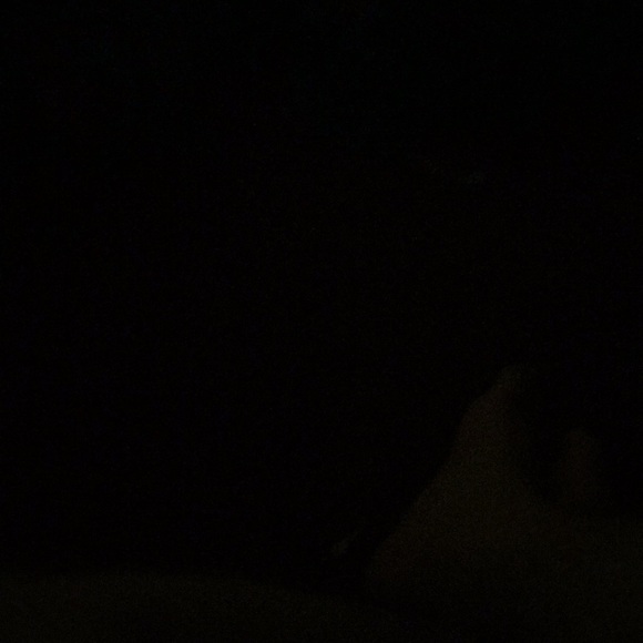 Meet your Posher, Paul - Picture 1 of 1